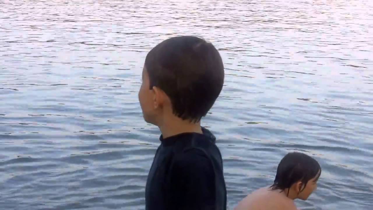 Mysterious Fish Attack