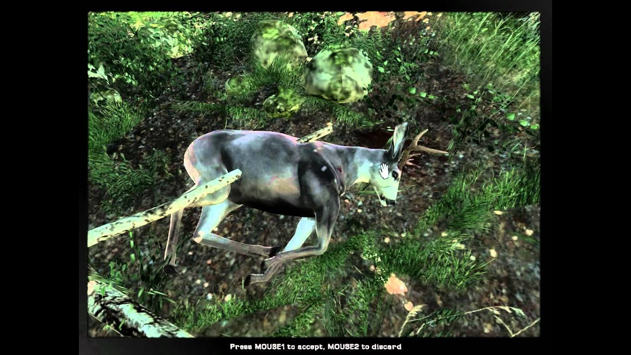 the hunter-mule deer with .308 & new trophy shot mode