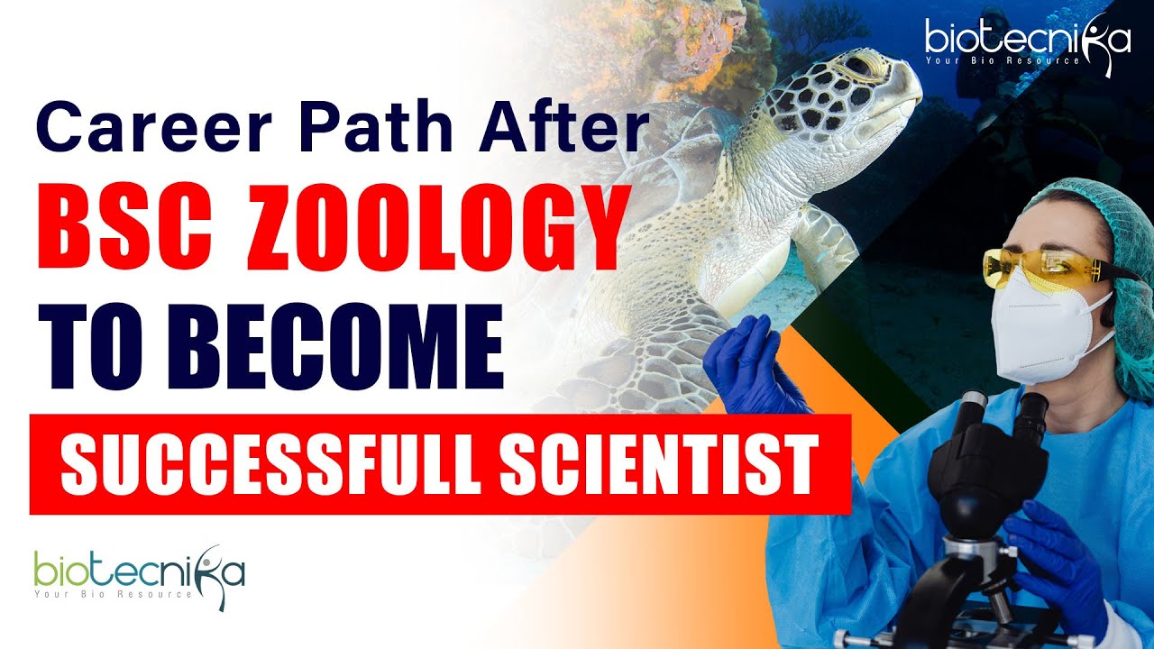 Career Path After BSc Zoology | Bsc Zoology Research Career Scope