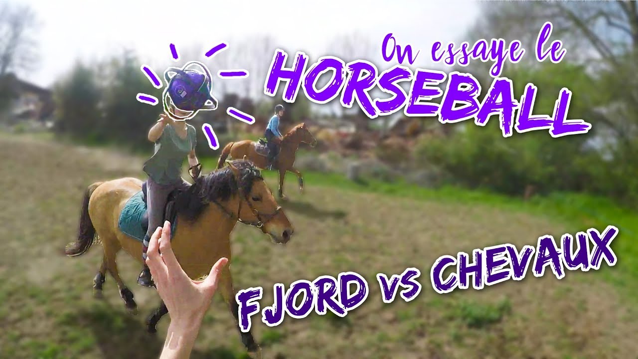 ON TESTE LE HORSEBALL ET LE BARREL !! ⚽🐎
