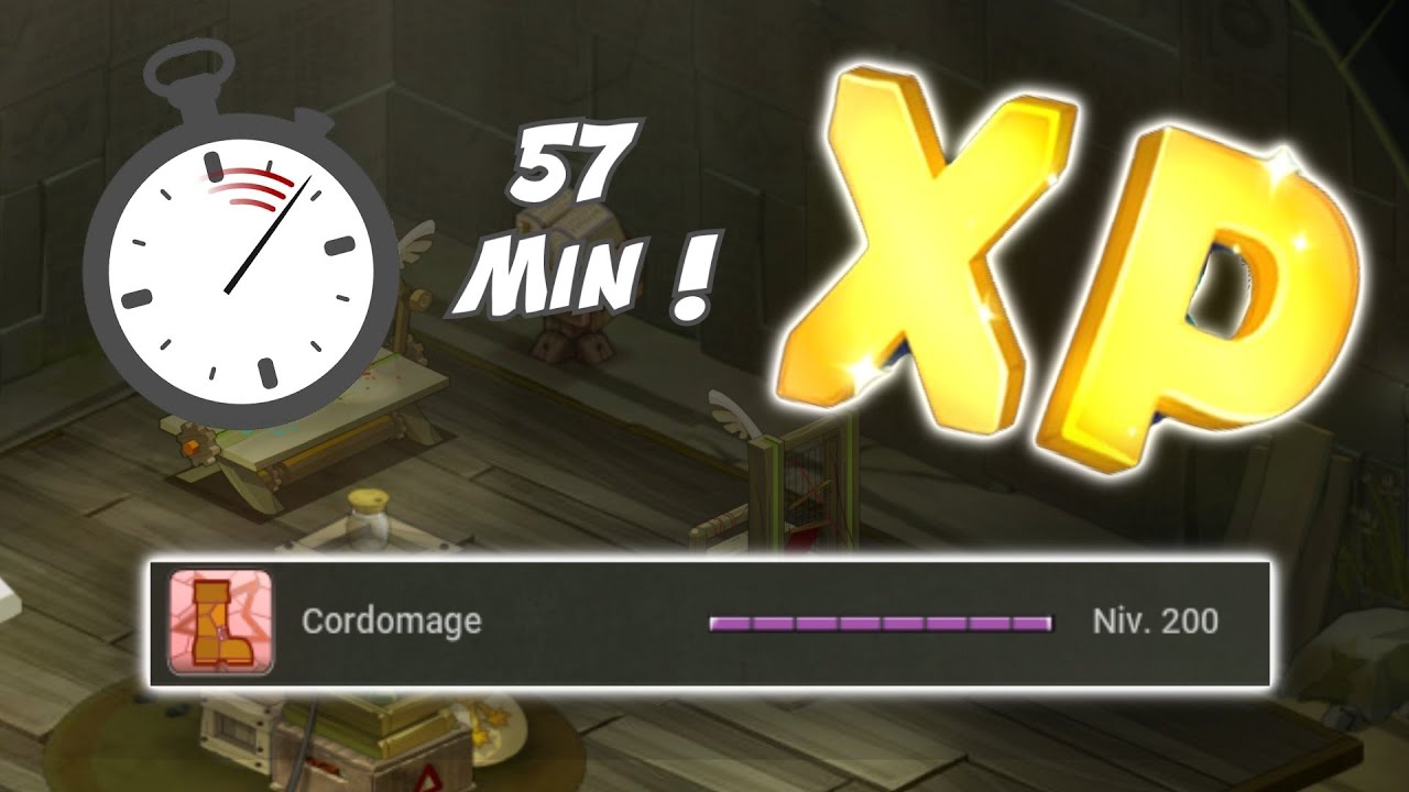[DOFUS] Up CORDOMAGE 200 en moins d'1H avec moins de 6M ! (4M en vendant les items)
