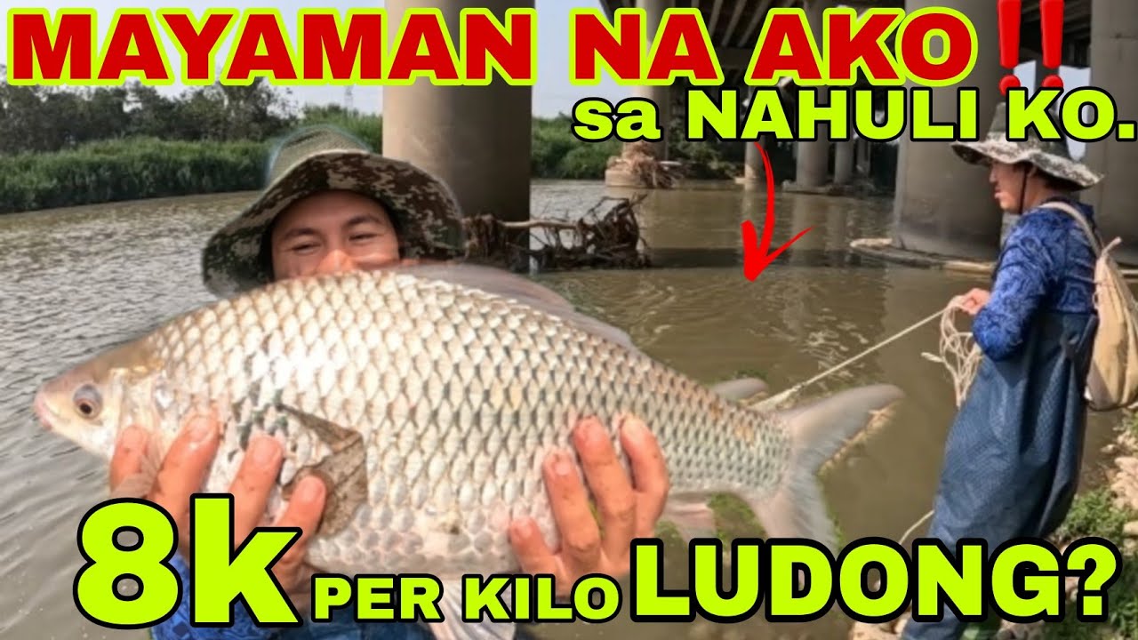 pinakamalaking isdang nahuli ko sa taiwan