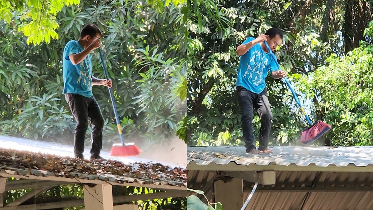 Mira hasta donde Se Subio Mingo para demostrar que es buen Trabajador 😱Asi Limpiamos pa cede 🥳