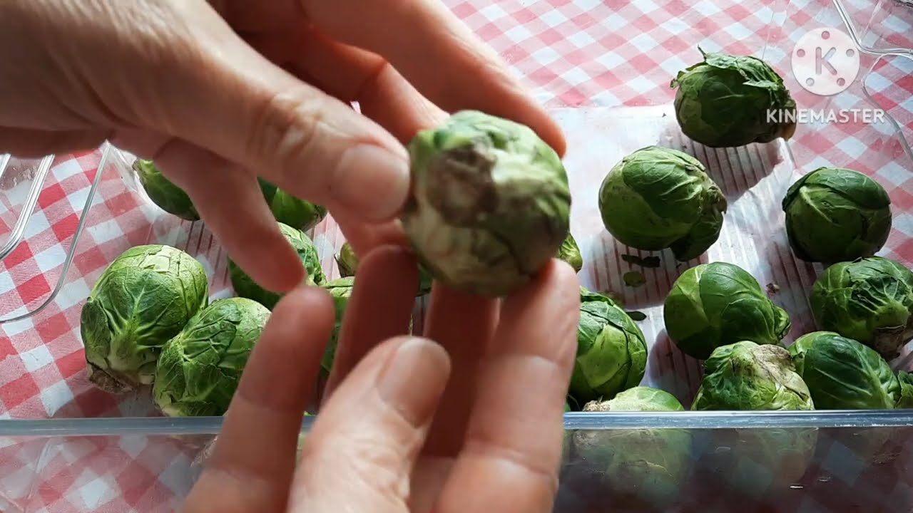 Comment cuire des choux de Bruxelles très facilement et rapidement (5 minutes !!!) ?