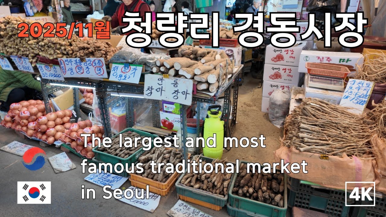 4K]청량리 청과물도매시장, 경동시장 과일, 마늘 가격은?/Traditional markets in Seoul
