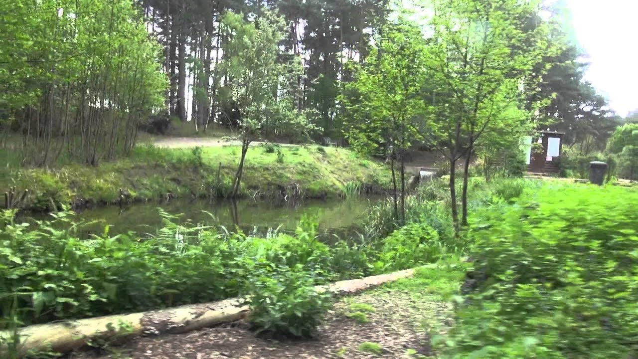 RUSHMOOR LAKES, TILFORD ROAD, SURREY, ANGLERS MAIL TACTICAL BRIEFINGS