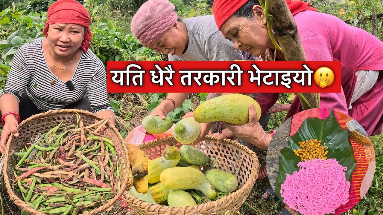 लेकतीरको तरकारी सार्है मिठो हुने, एक एक डोको टिपिम\village organic vegetable\village life\Susmita\