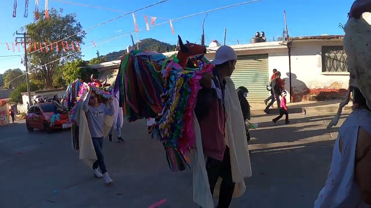 toritos de Zirahuato
