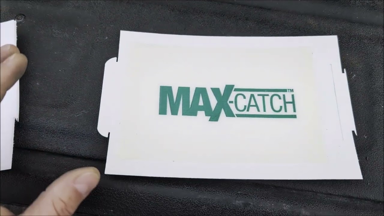 What You Should Know - Max-Catch Mouse & Insect Glue Trap