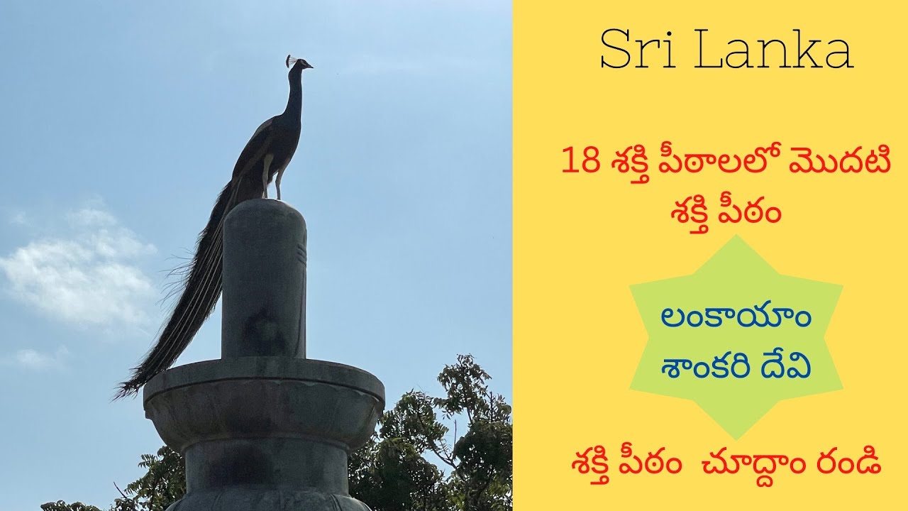Shankari devi temple in Sri Lanka 🇱🇰 | Telugu vlogs | telugu traveller | Astadasa shakthi peeta