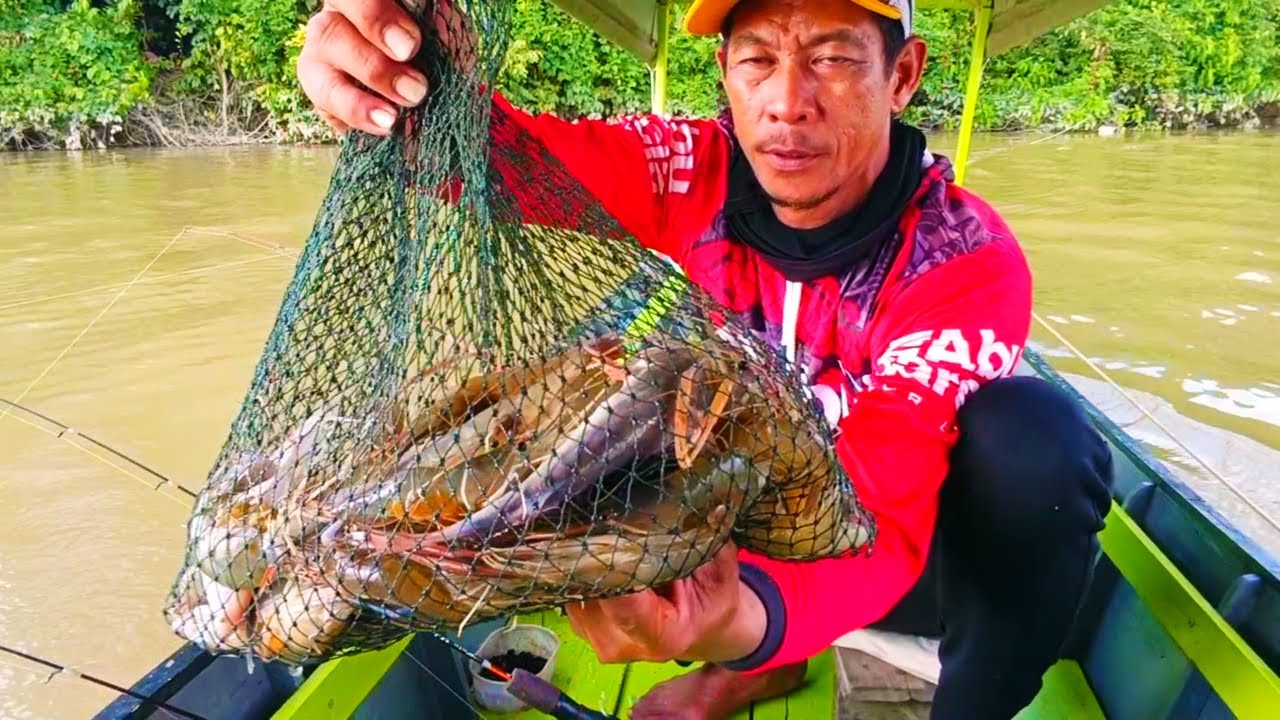 #Lapor ketua spot kembali gacorr!!! Panen strike saat mancing udang galah