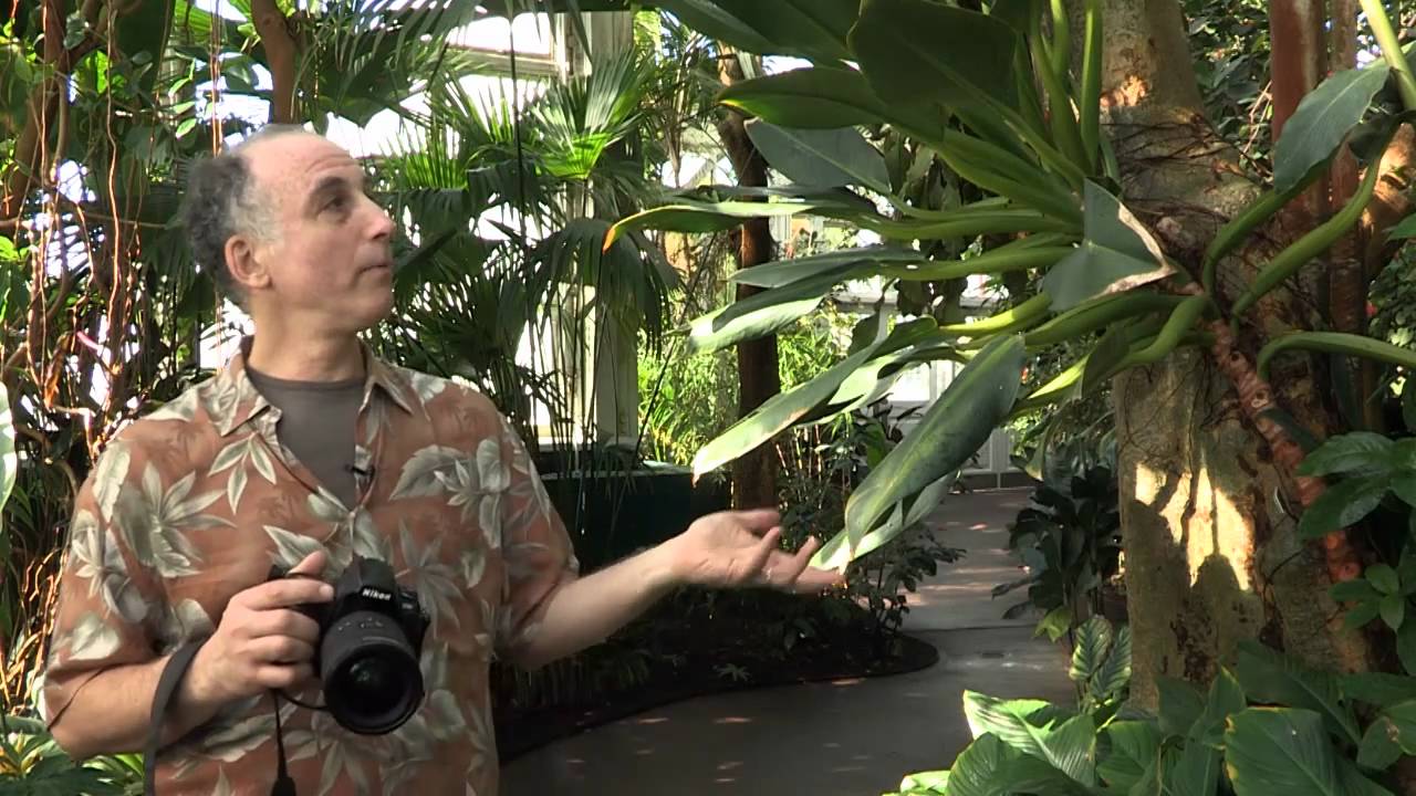 Garden Photo Tips With Rich Pomerantz &mdash; Thinking About Light