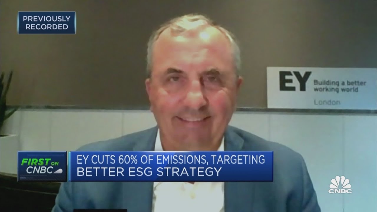 We're working to set global ESG auditing standards: EY CEO