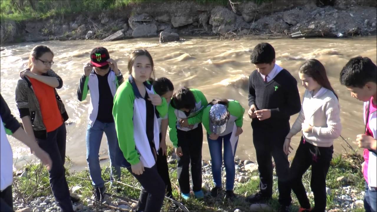 NIS and SIPFLS project