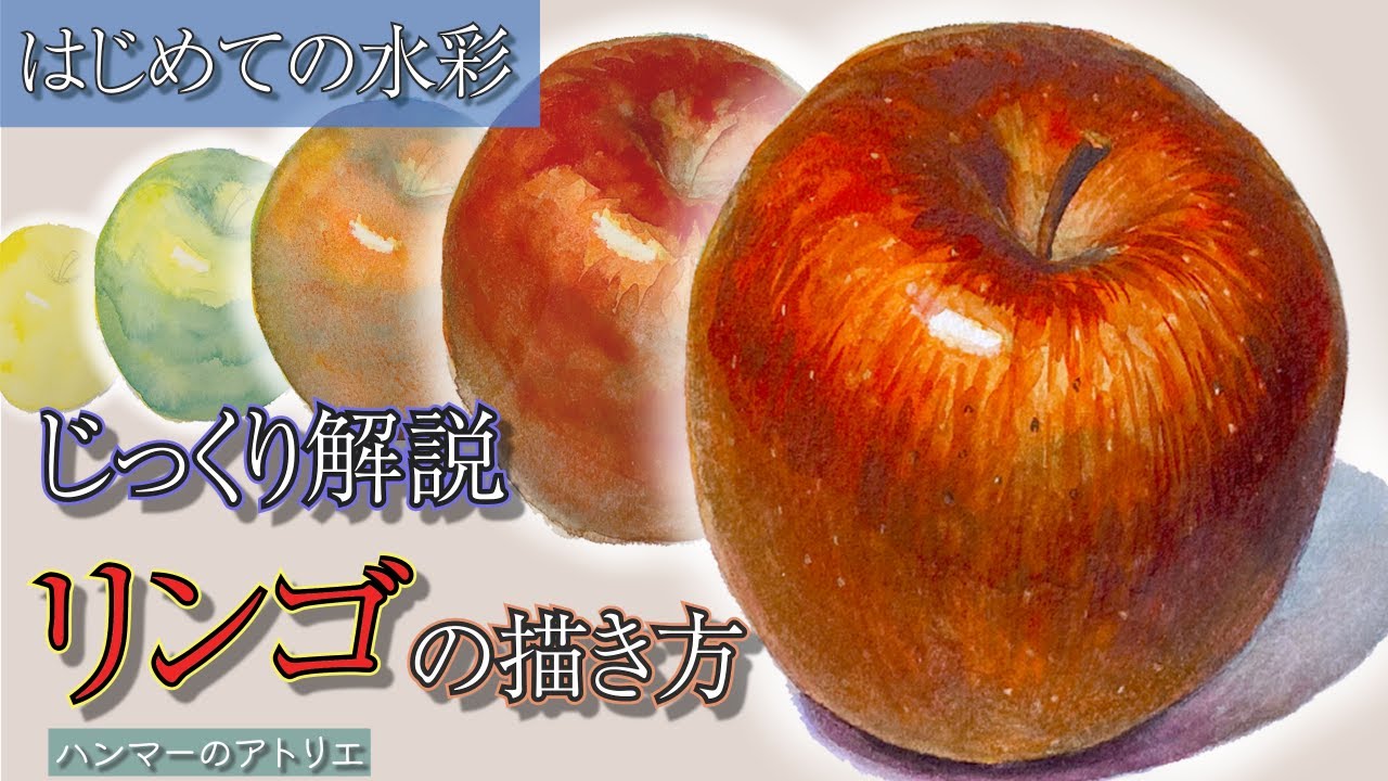 【初心者必見】リンゴの描き方　～上手く描くコツをじっくり解説～  透明水彩の基本