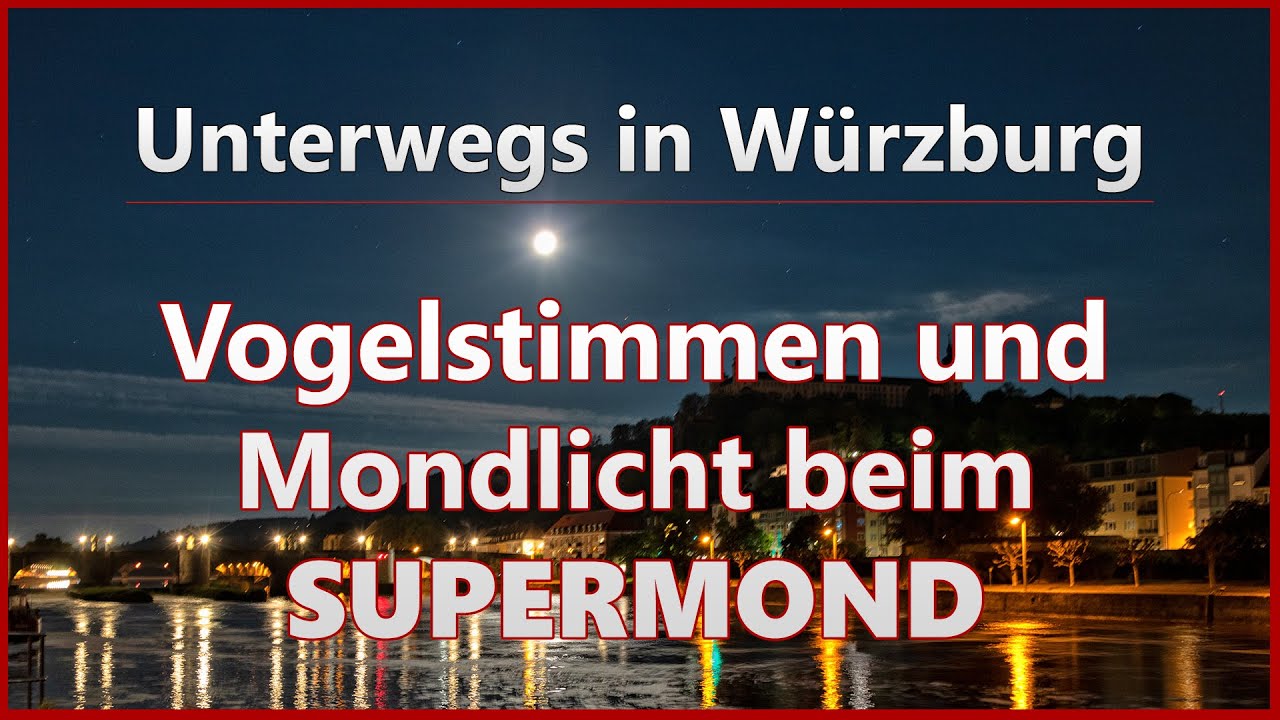 Vogelstimmen und Mondlicht beim SUPERMOND | Unterwegs in Würzburg