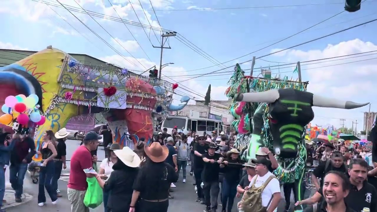 ‼️💥Recorrido de Toritos 2025 | San Francisco de Asís💥‼️