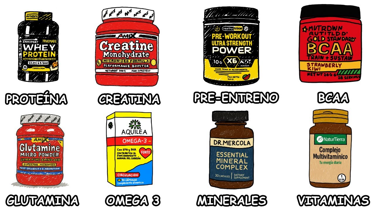 TODOS los SUPLEMENTOS de GIMNASIO explicados en 11 minutos