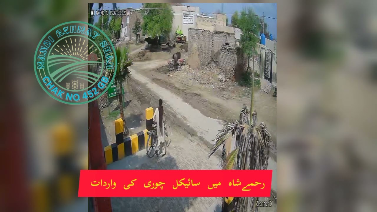 Chak number 452 g b mandi Rehmay Shah maen  cycle chor ki vedeo