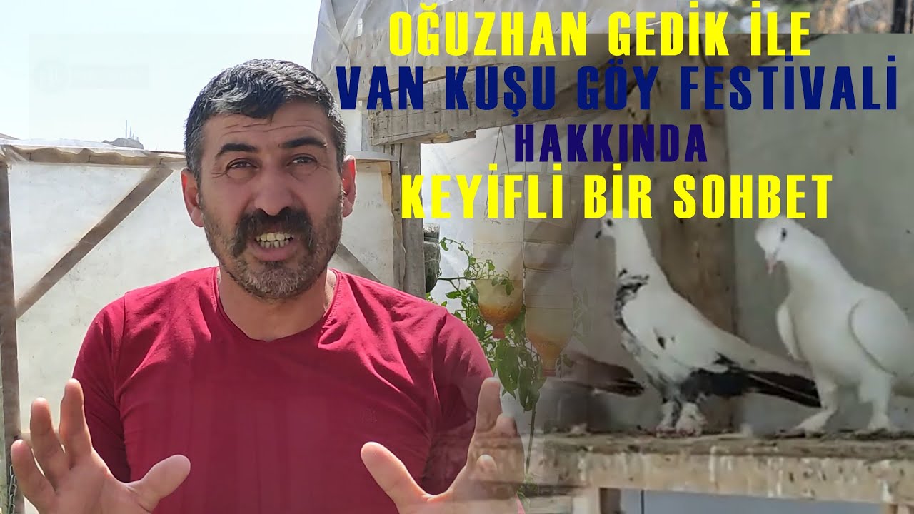 Van Yüksek Uçucuları
