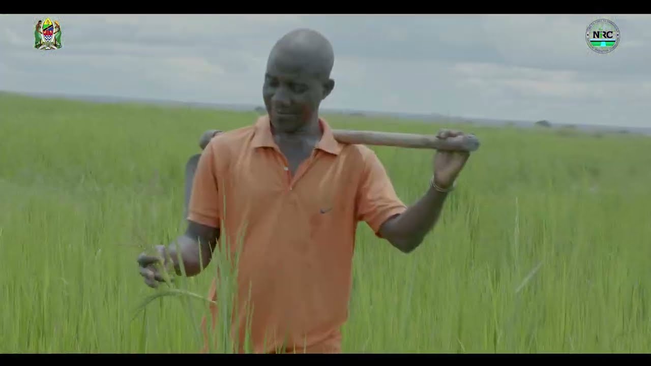MRADI WA MKOMBOZI KUKOMBOA WAKULIMA 16,000