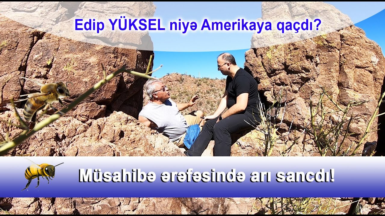 Quran tərcüməçisi professor Amerikaya niyə qaçdı?