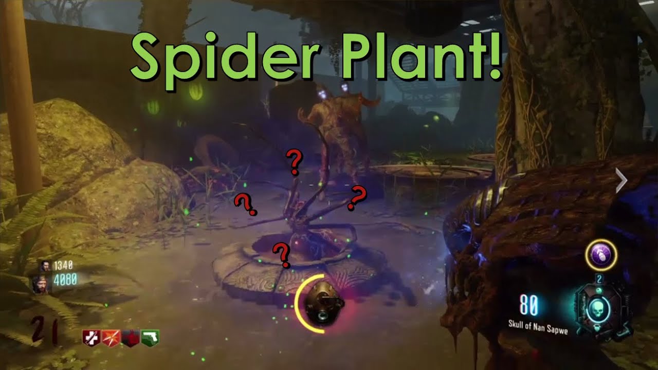 SPIDER PLANT! Zetsubou no Shima Spider Glitch - black Ops 3