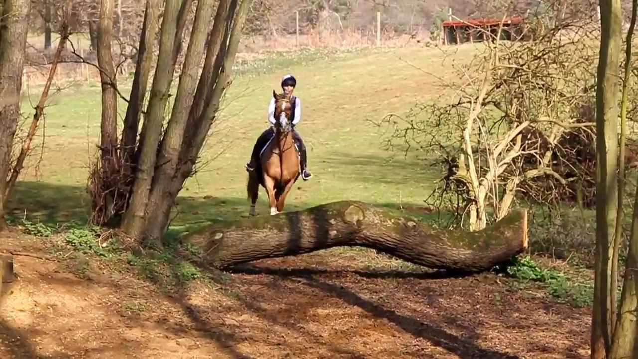 Cross Country Lesson