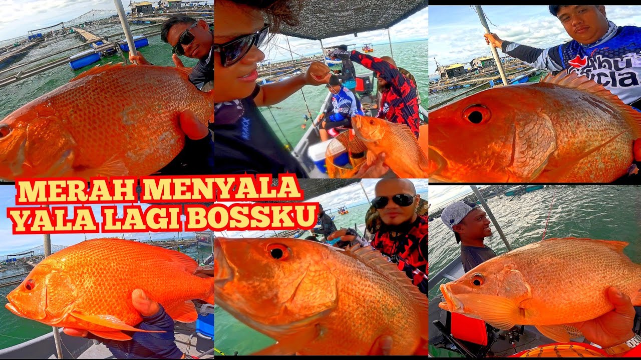 MEMANCING SANGKAR KUALA GULA, IKAN MERAH, JENAHAK DAN OTEK