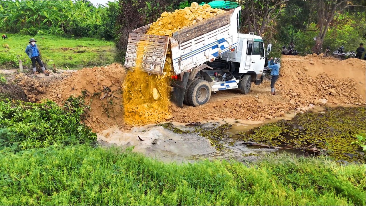 Be Look Out Go On New Project!DumpTruck Loading Land Building Road By Skillful DozerD21 Pushing Soil