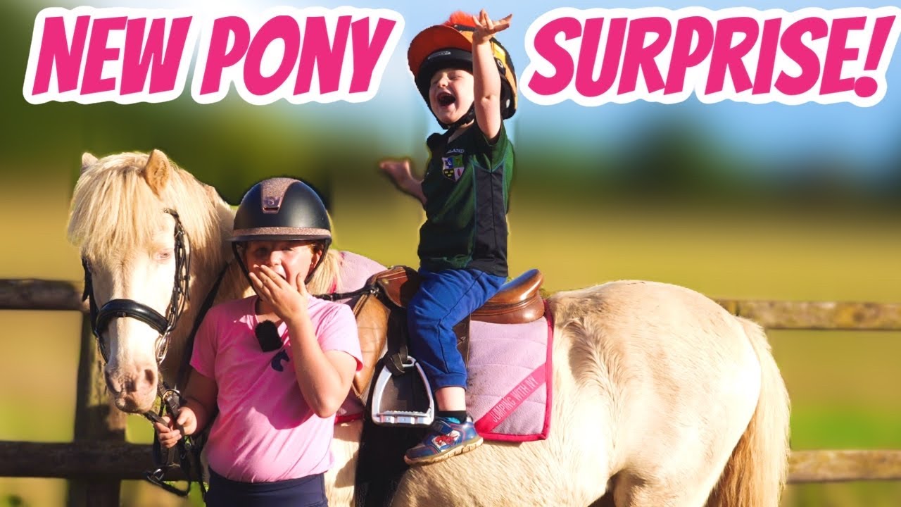 NEW PONY SURPRISE OR&hellip;.