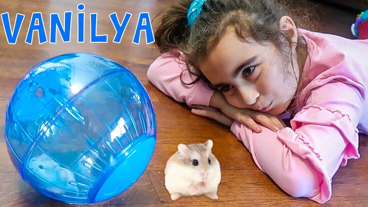 Mira Yeni Arkadaşı Vanilya'nın Evini Temizledi Hamster Topu Aldık | UmiKids
