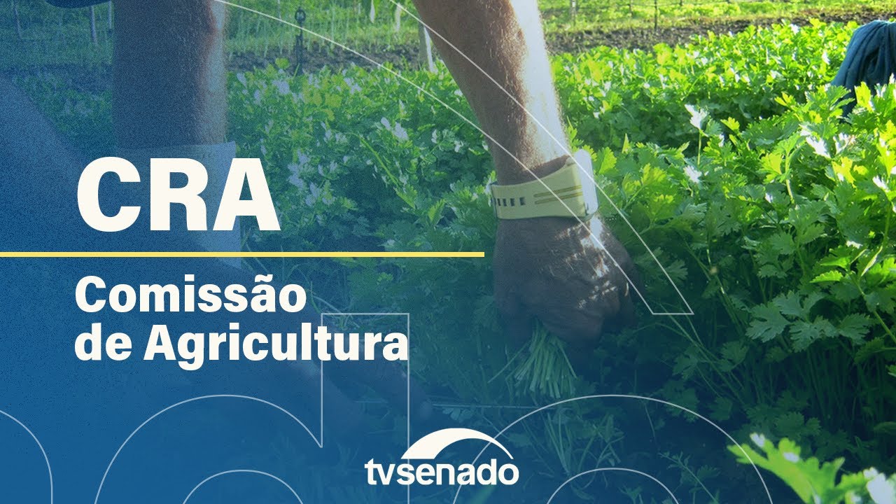 CRA vota redução de taxa sobre calcário agrícola – 4/2/26