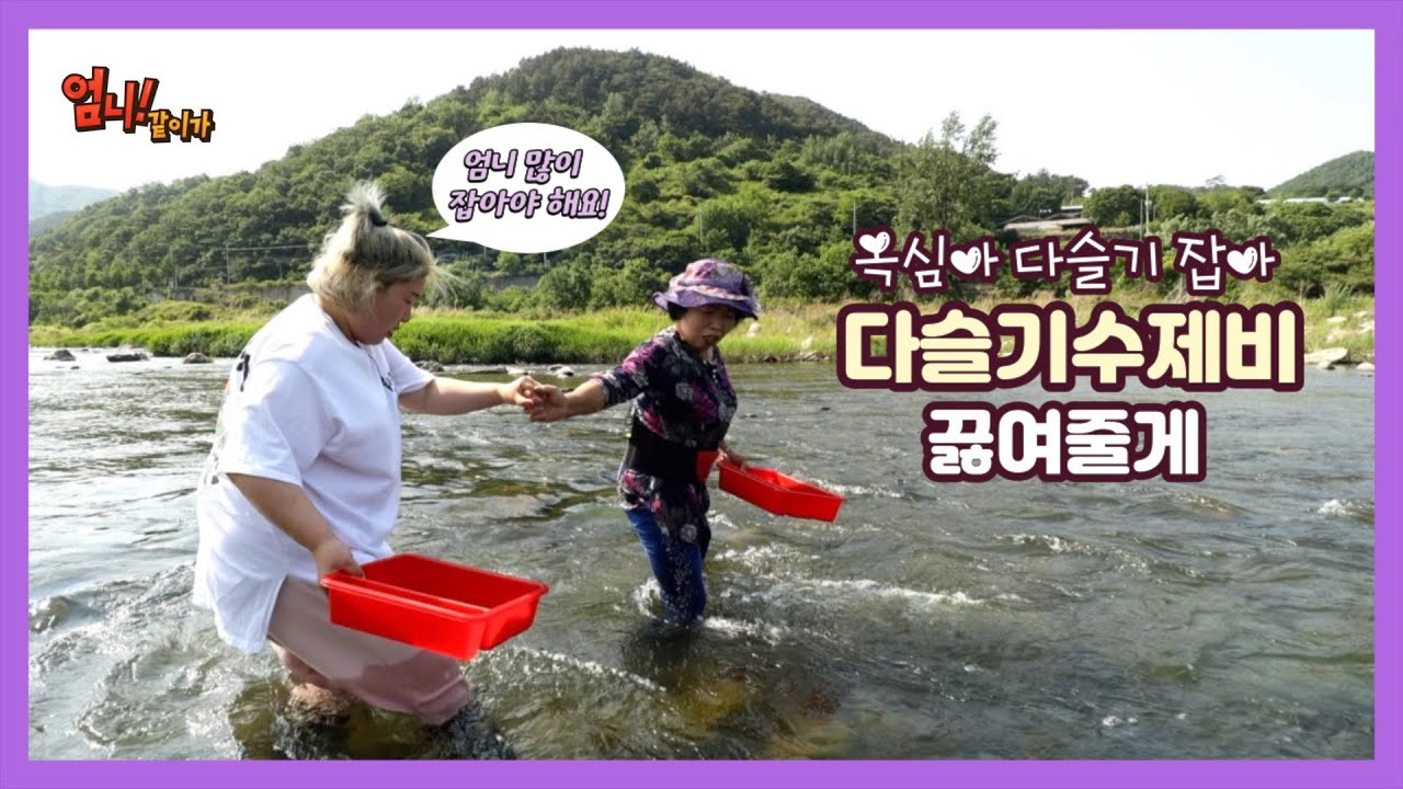 나루강 엄니와 섬진강에서 잡은 다슬기로 수제비 끓여 먹어요~ 얼마나 맛있게요!!