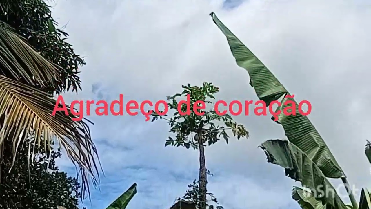 obissevando a natureza 