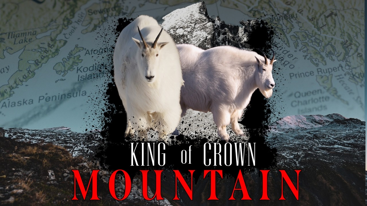 Extreme Mountain Goat Hunt Film - Success In Brutal Conditions