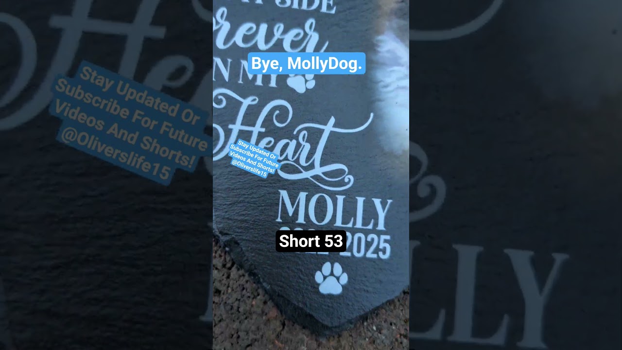 Short 53: MollyDog Last Part (Gravestone Showing) #sad