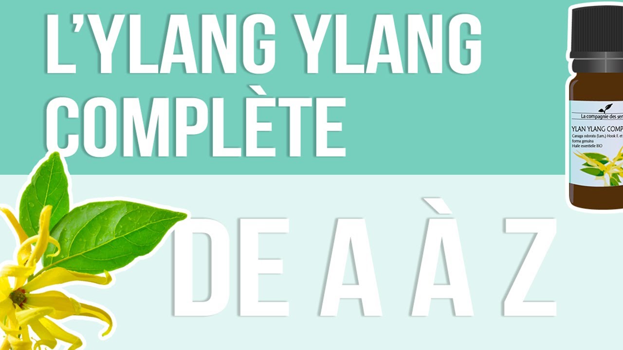 [HUILES ESSENTIELLES] À la découverte de l'Ylang Ylang Complète