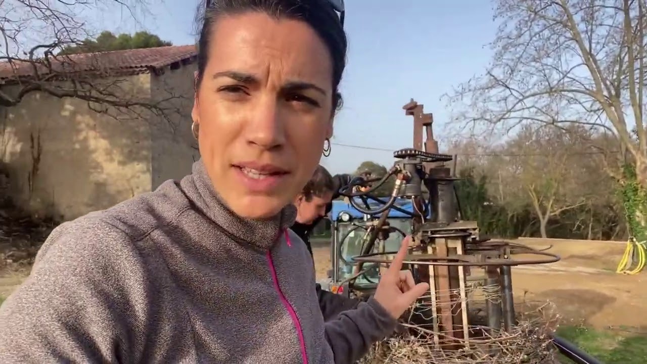 Tuto comment on transforme une vigne en TRP (Taille Rase de Précision)