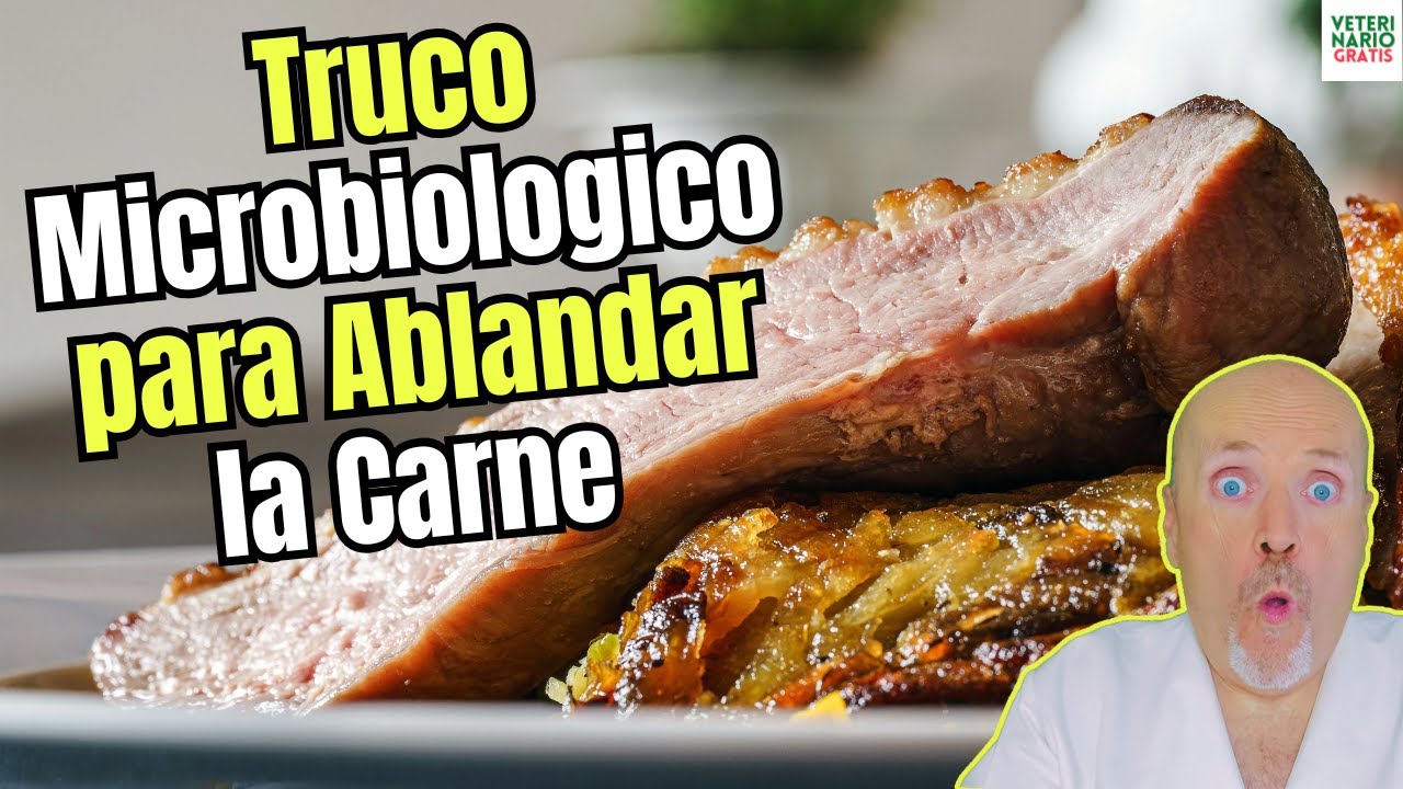 🥩 ¡MAGIA en tu COCINA! ✨ TRUCO MICROBIOLÓGICO para una CARNE SÚPER TIERNA 🤤 ¡Adiós a la carne DURA!
