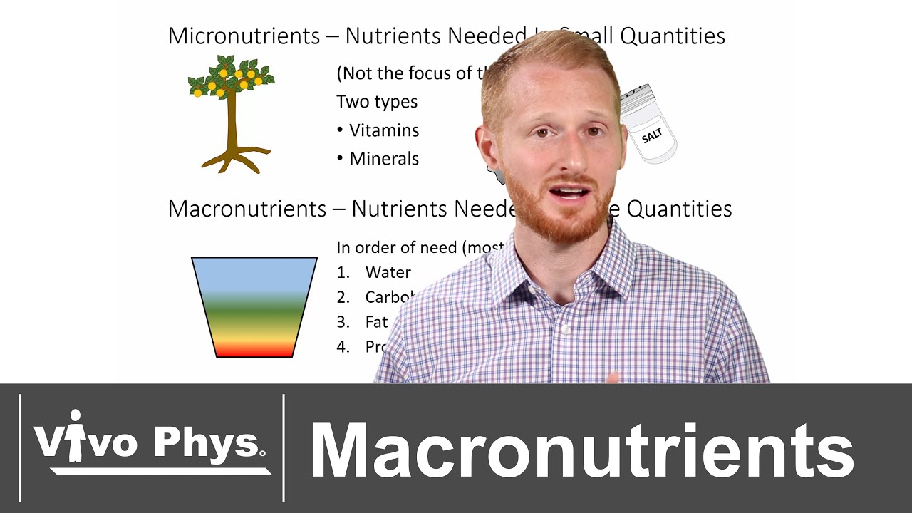 The Four Macronutrients
