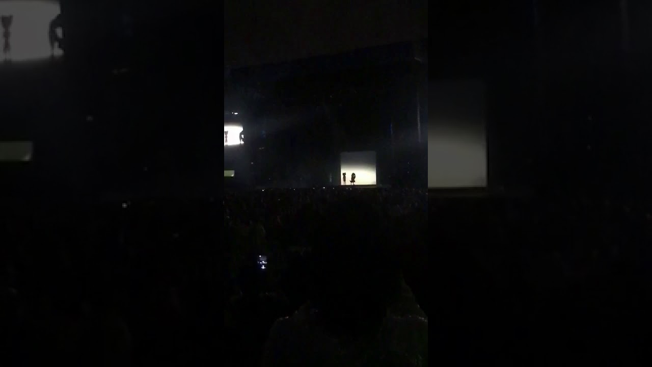 Sia - Titanium(live@sydney)
