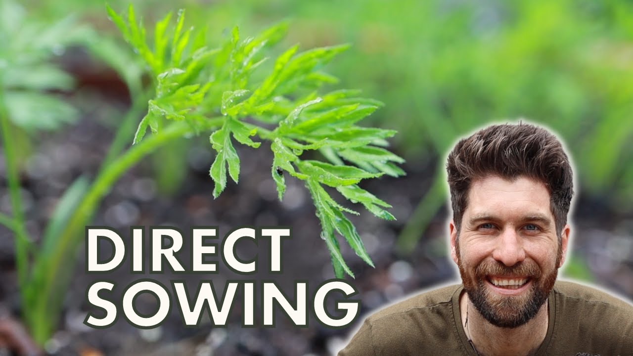 How to Direct Sow with Worm Castings