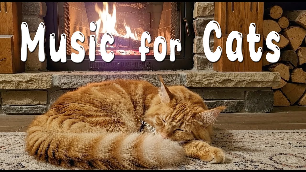 Music for Anxious Cats | Relaxing Cats Music Helps Sleep, Calming Kitten Melody