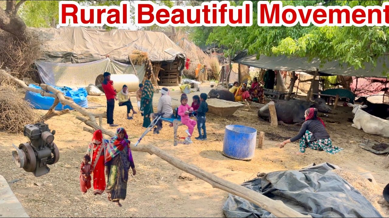 Life In India Is Something Like This [] Some Unexplored Regions Of India [] Real Life Indian People