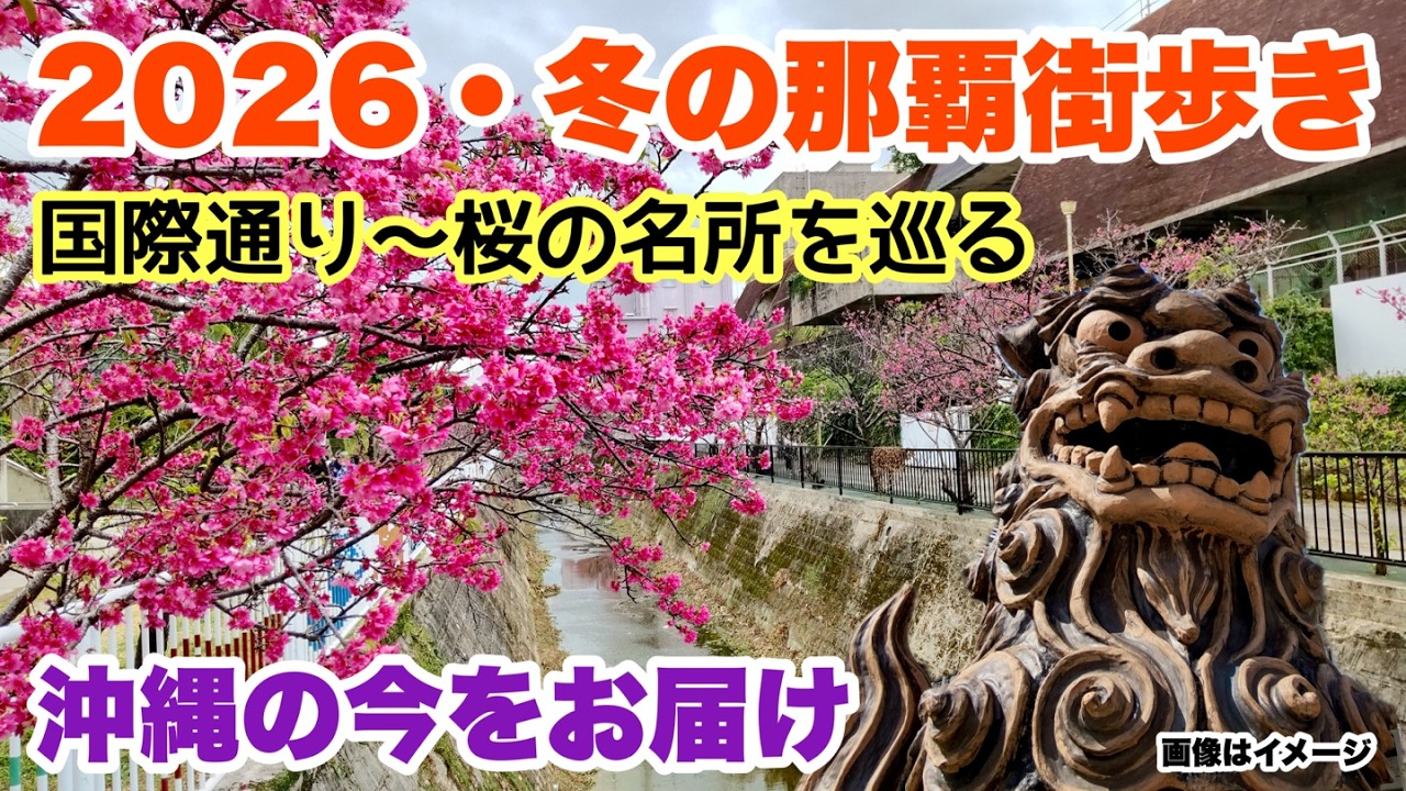 【沖縄の今をお届け】2026・冬の那覇街歩き 「沖縄旅行情報」