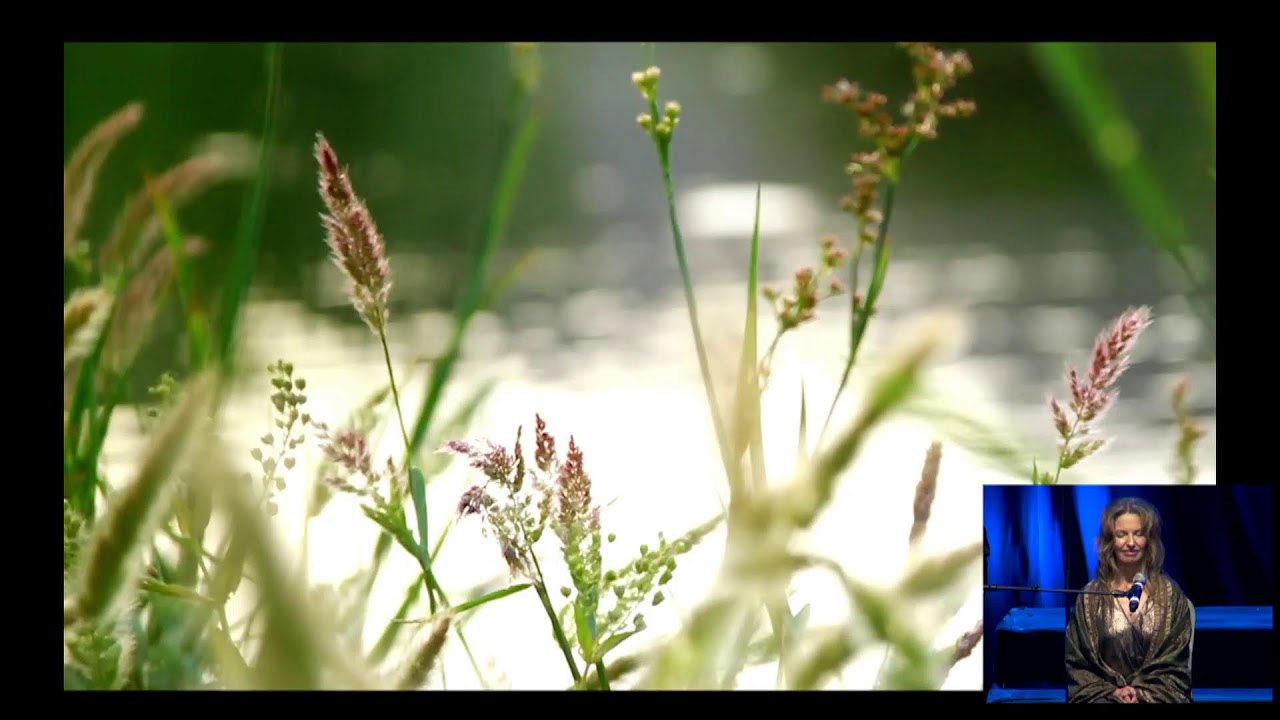 Agape's 11am Meditation Service, 2-22-26