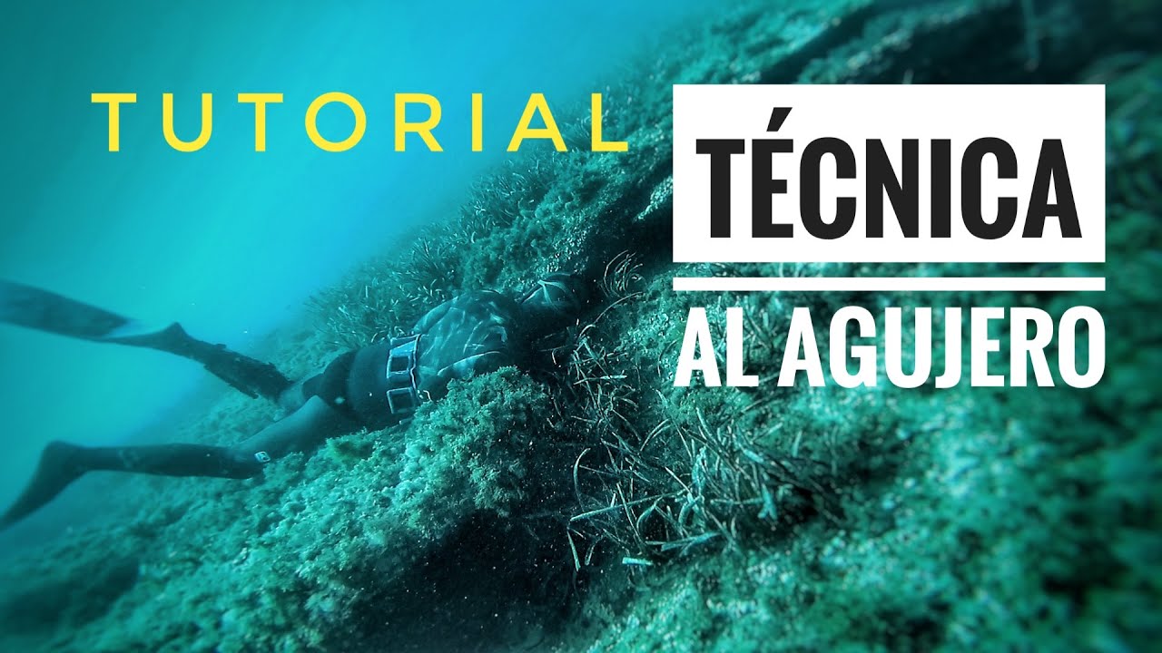 &iquest;COMO PESCAR AL AGUJERO? - T&Eacute;CNICA TUTORIAL PESCA SUBMARINA #1