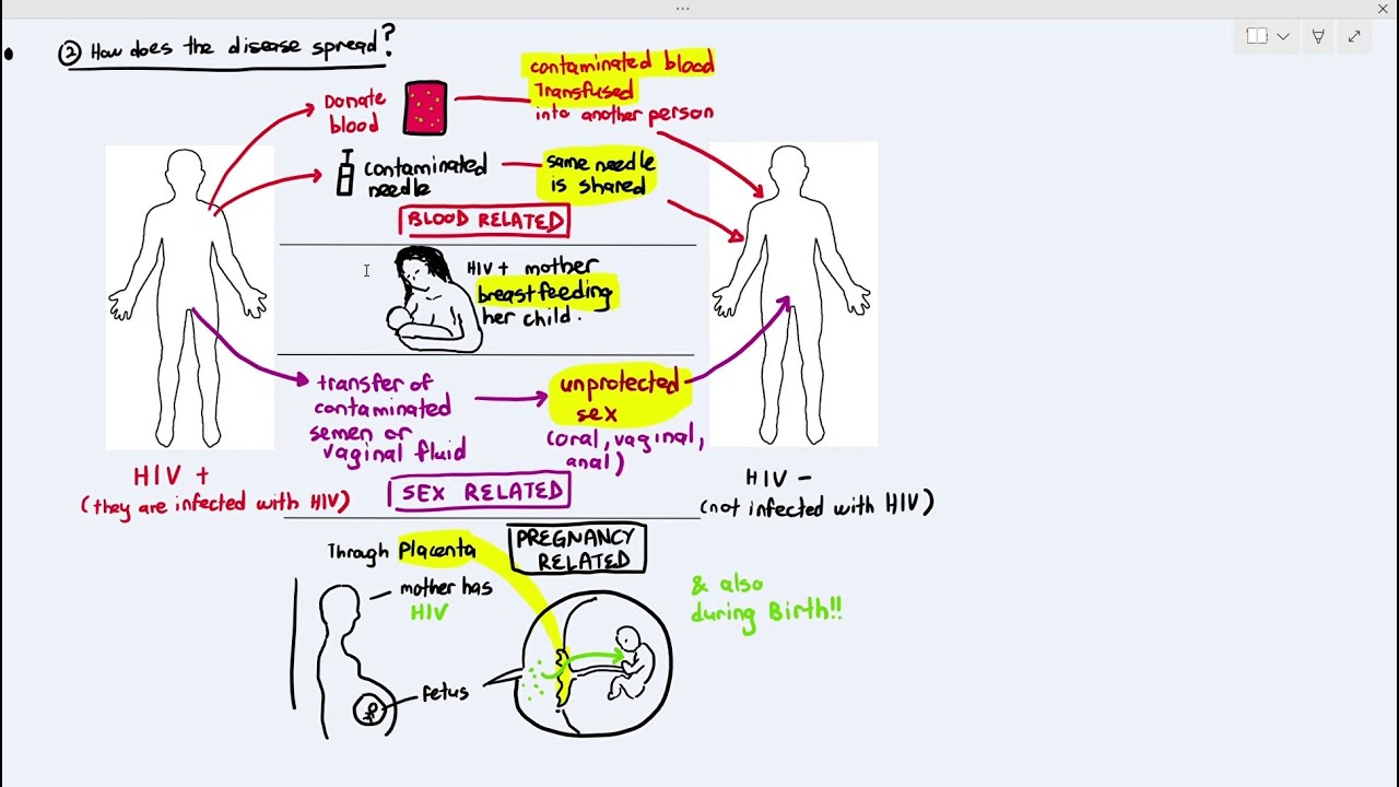 10-3 HIV: Part 1 (Cambridge AS A Level Biology, 9700)