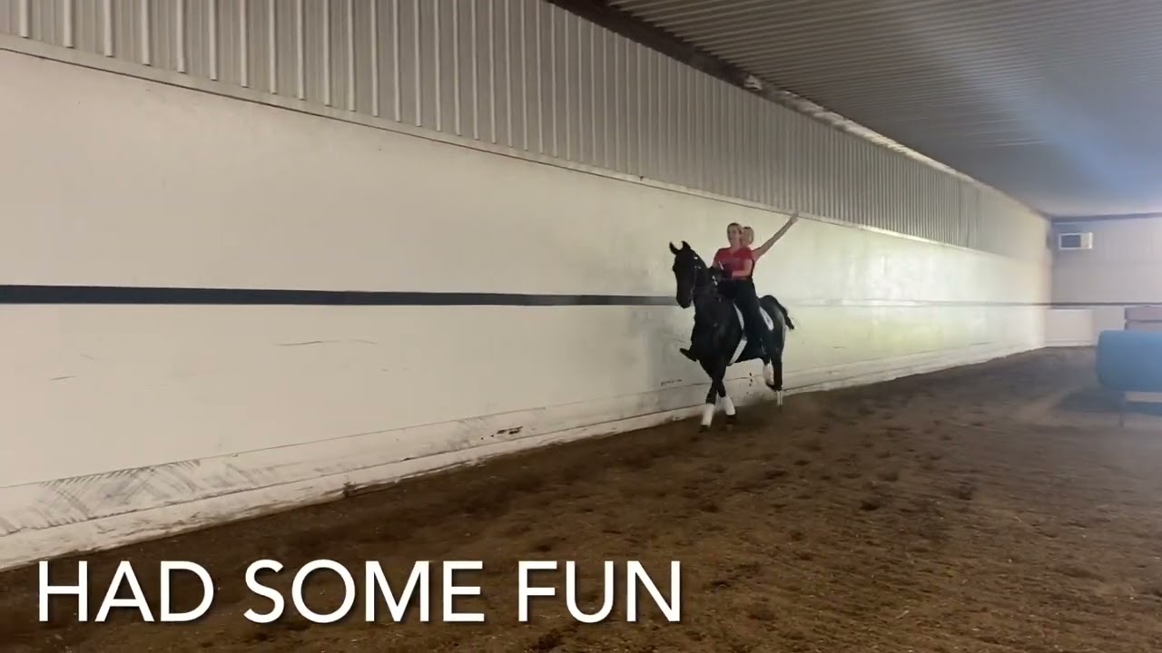 My journey with Jalapena Lena- saddle seat Equitation